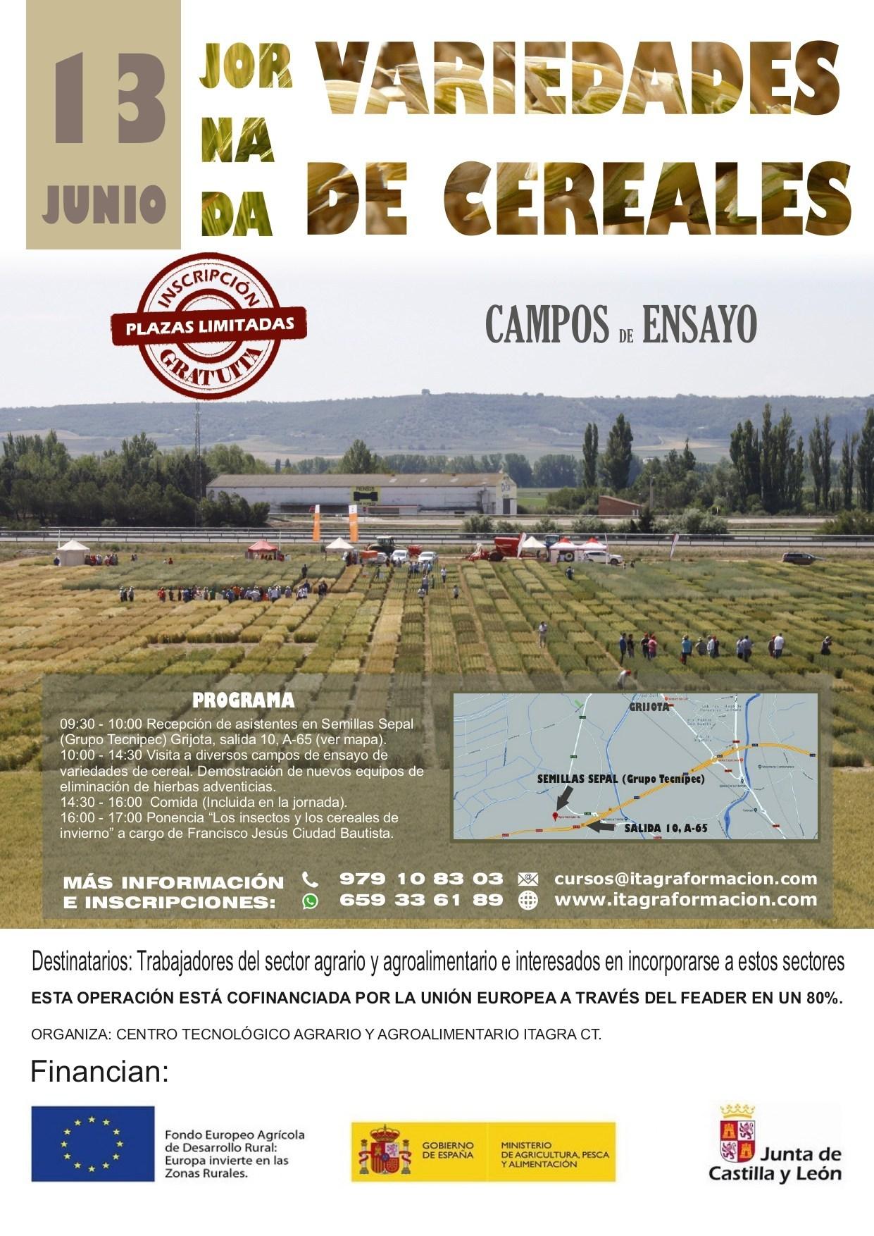 Jornada sobre variedades de cereales en campos de ensayo
