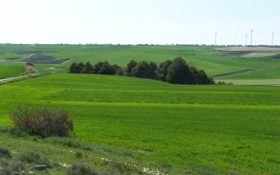 Itagra lidera un proyecto Interreg Sudoe: Phos4cycle, transformando la gestión agrícola y la conservación de aguas y suelos frente a la contaminación por fosfatos